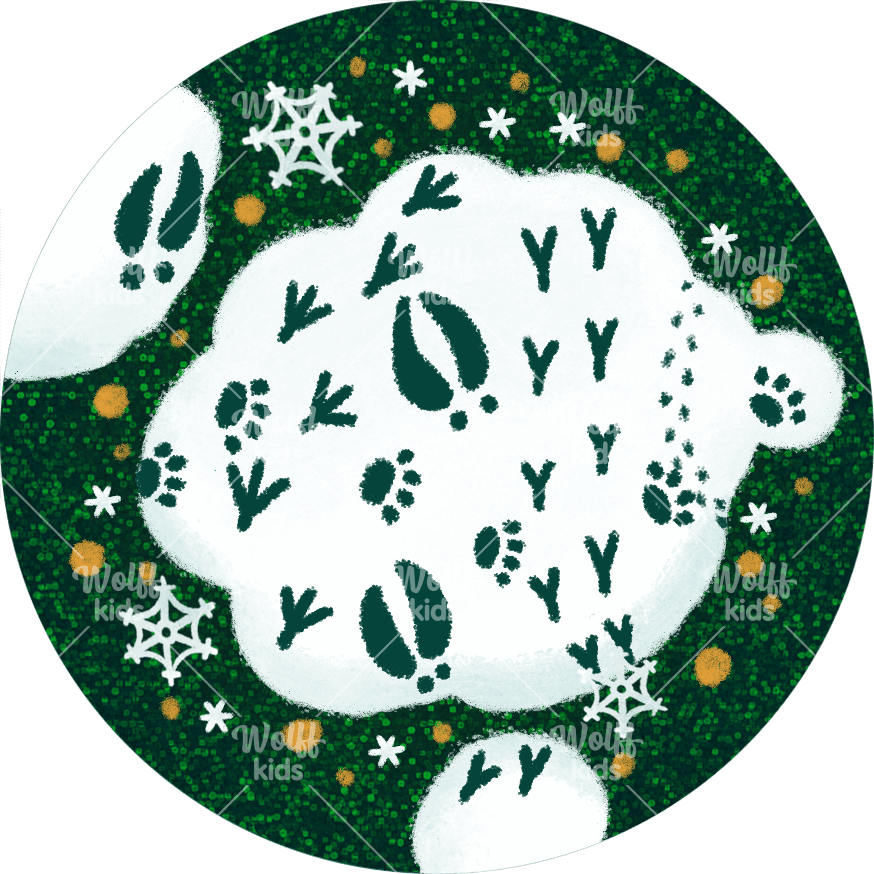 Einzelner Magnet: Winter: Spurensuche