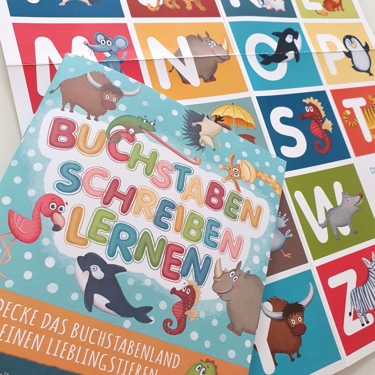 ABC-Übungsheft: Buchstaben schreiben lernen - farbig handillustriert