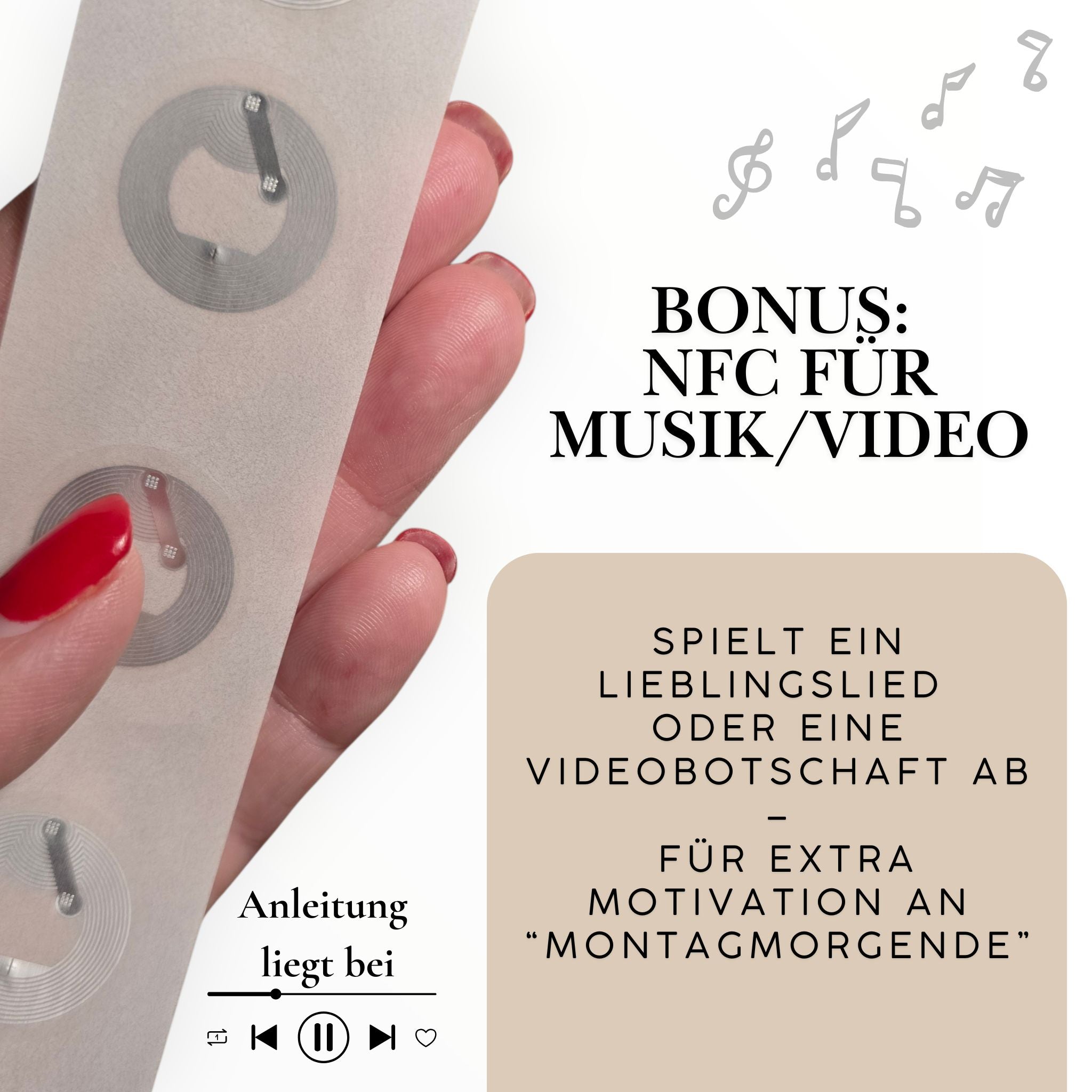 5 Routinelichter | 1 Thema nach Wahl | 32 Teile