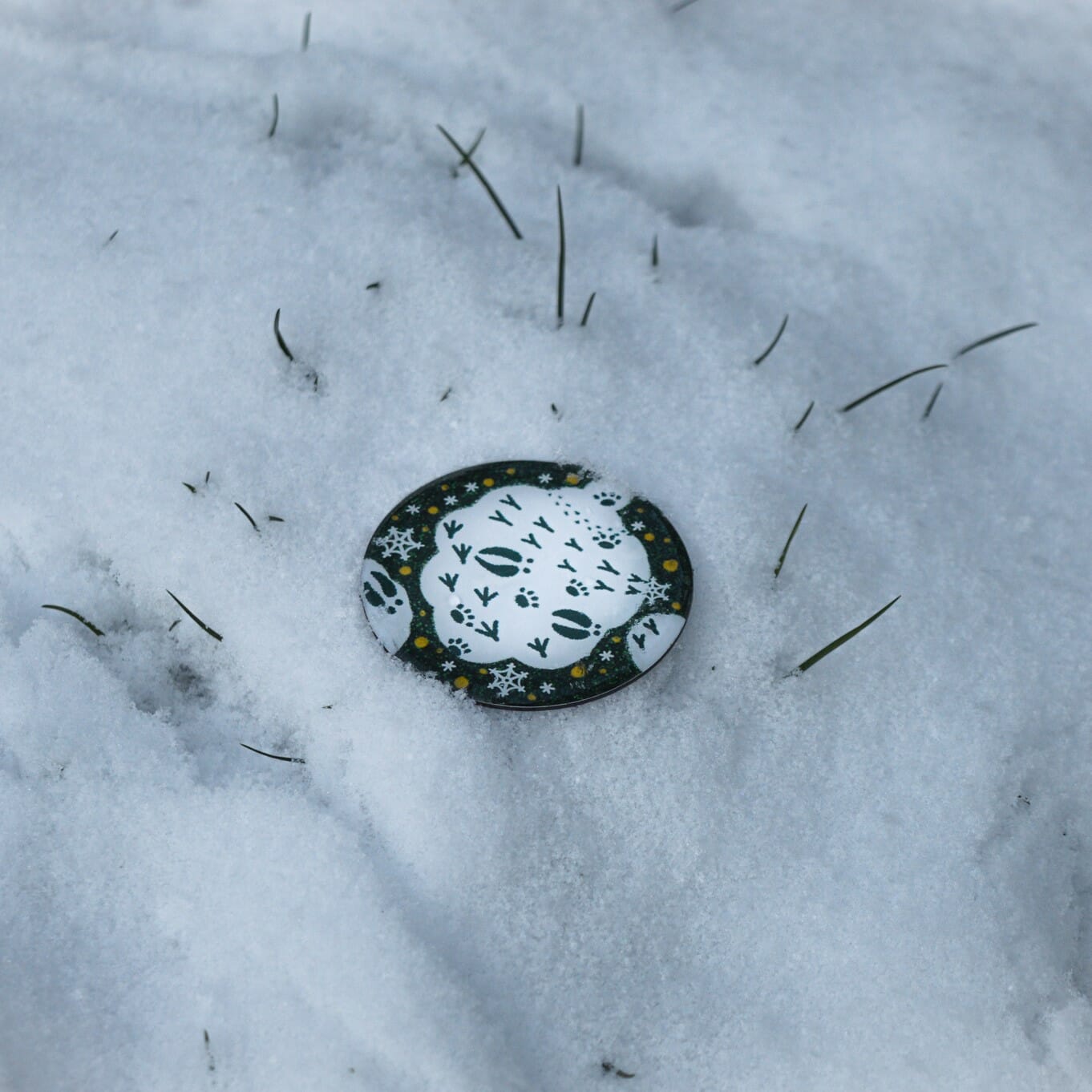 Einzelner Magnet: Winter: Spurensuche