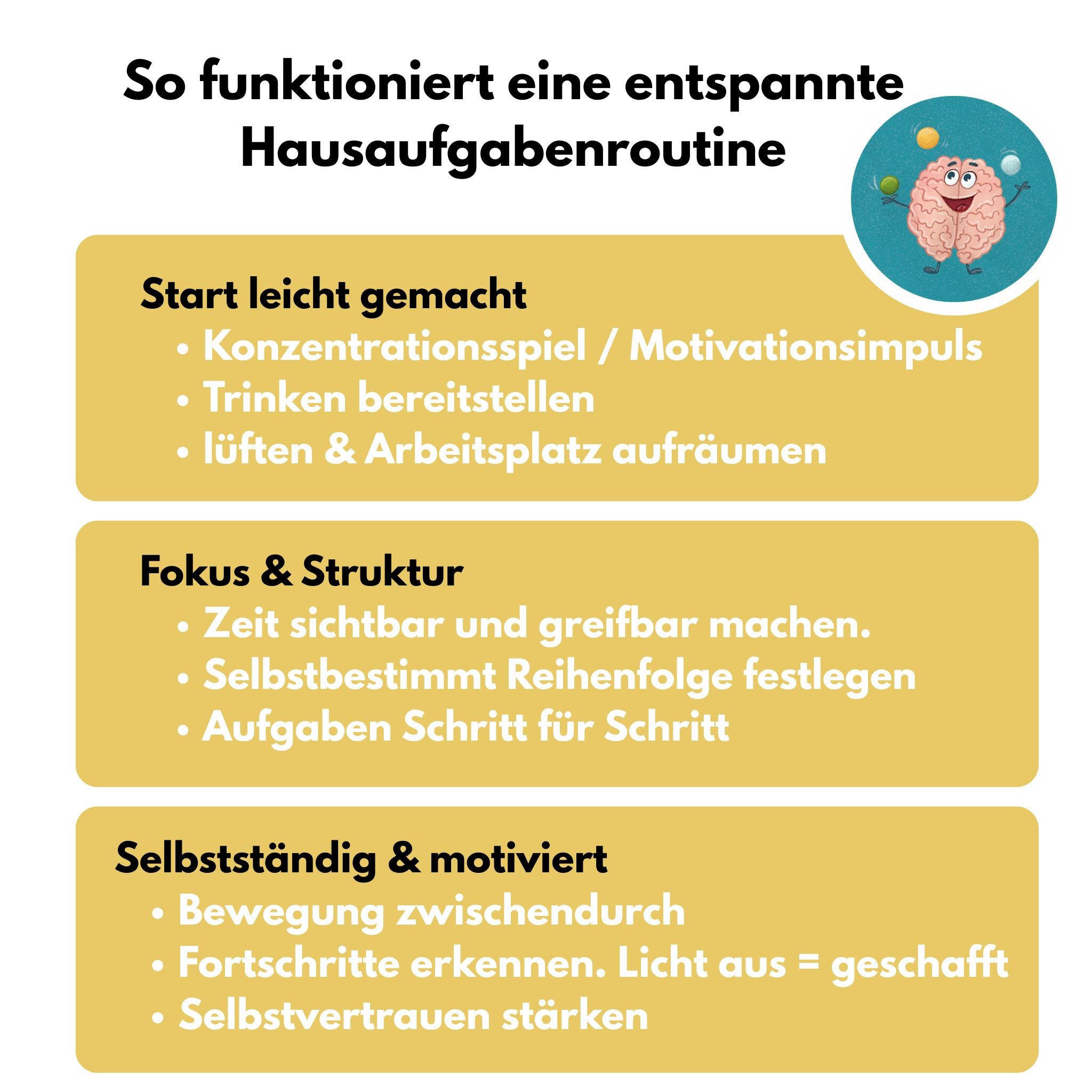 Routinesystem Hausaufgaben 8 Lichter und Zubehör -46 teilig inkl. Lernkompass Videokurs