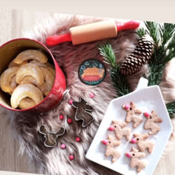 süße Adventsfreuden: 5 Magnete + 1 🎁gratis