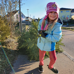 Einzelner Magnet: Weihnachtsbaum schmücken