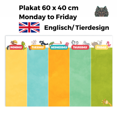 Stundenplanposter in Englisch 60 x 40 cm